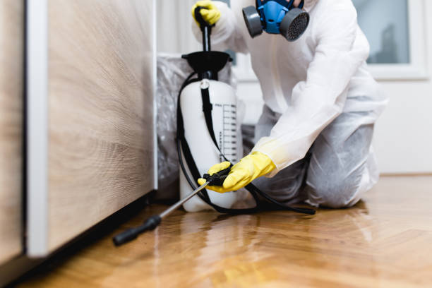 Insect Control in Sealy, TX
