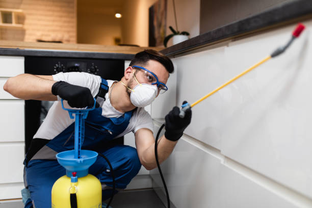 Flea Control Services in Sealy, TX