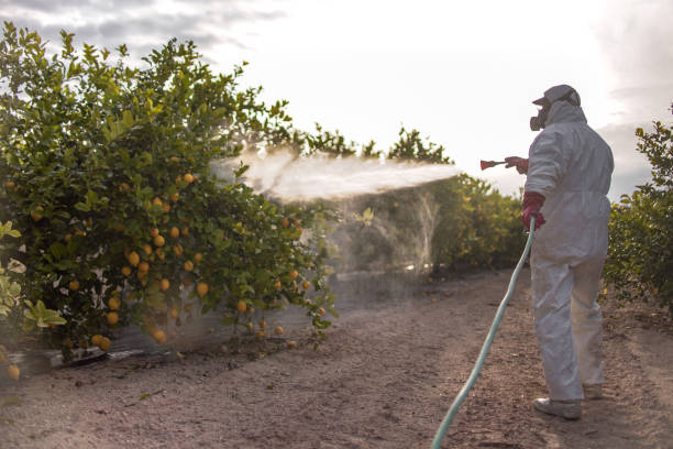Best Residential Pest Control  in Sealy, TX