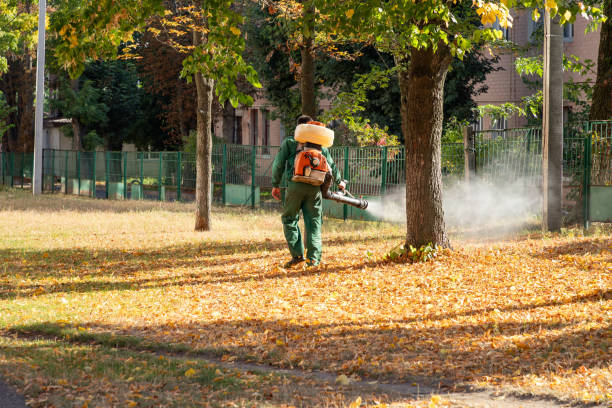 Best Best Pest Control Companies  in Sealy, TX