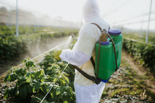 Sealy, TX Pest Control Company